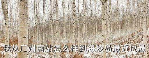 廣州南到海陵島出租多少錢，我從廣州南站怎么樣到海陵島最近也最
