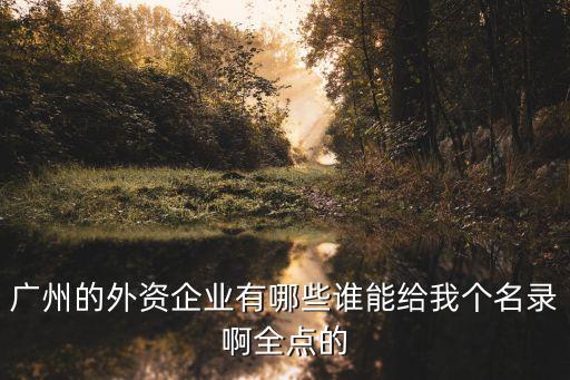 廣州的外資企業(yè)有哪些誰(shuí)能給我個(gè)名錄啊全點(diǎn)的