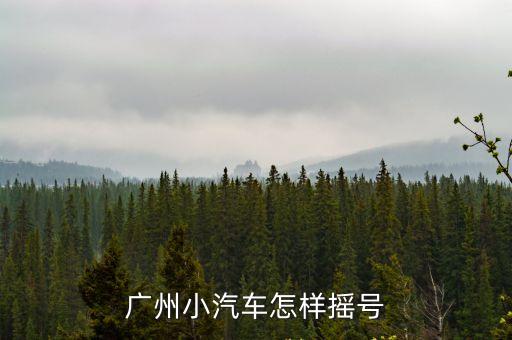 廣州搖車牌是怎么樣的，廣州怎么搖車牌號