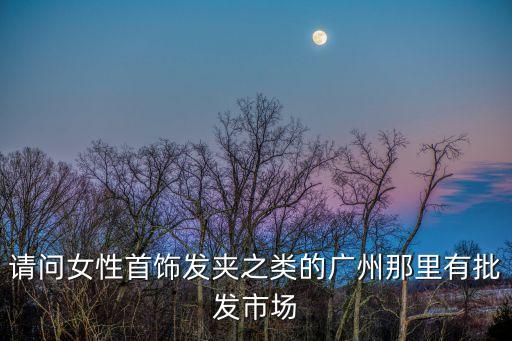 請問女性首飾發夾之類的廣州那里有批發市場