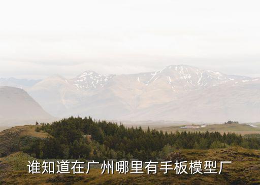 誰知道在廣州哪里有手板模型廠