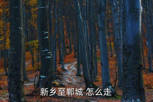 新鄉至鄲城 怎么走