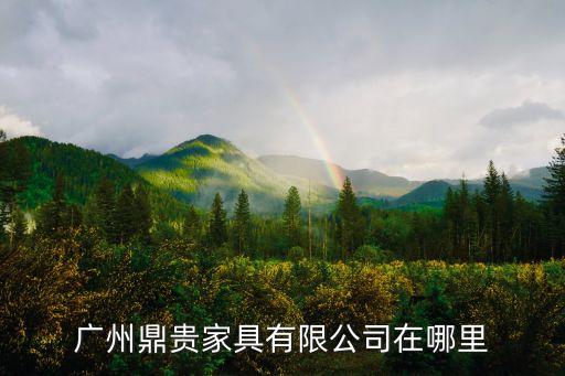 廣州鼎貴家具有限公司在哪里