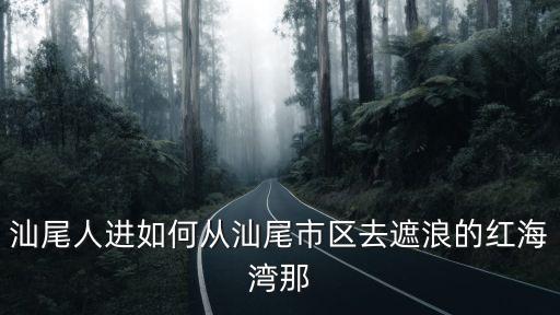 汕尾人進如何從汕尾市區去遮浪的紅海灣那