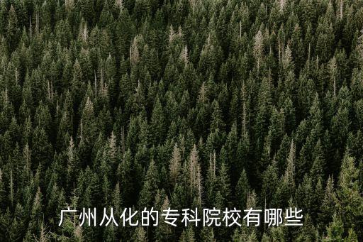 廣州從化的專科院校有哪些