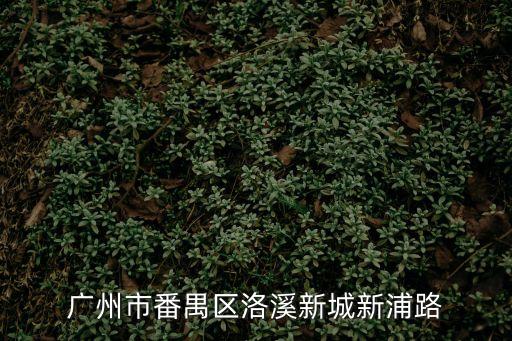 廣州市番禺區洛溪新城新浦路