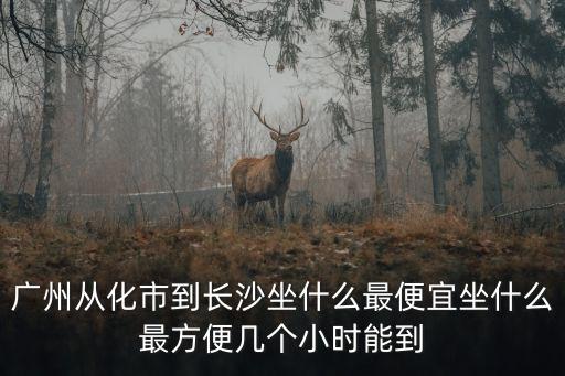廣州從化市到長沙坐什么最便宜坐什么最方便幾個小時能到
