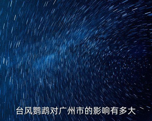 臺風鸚鵡對廣州市的影響有多大
