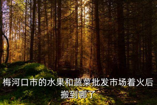 廣州梅河口農(nóng)貿(mào)市場，梅河口市的水果和蔬菜批發(fā)市場著火后搬到哪了