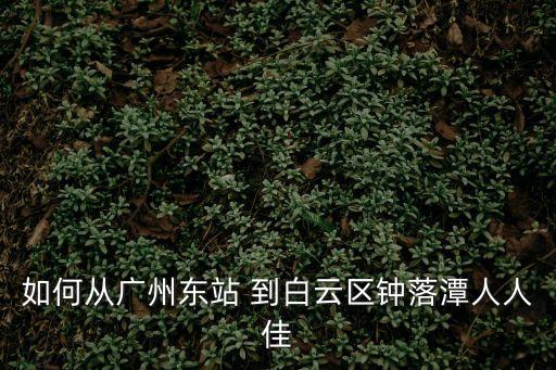 廣州東站到鐘落潭坐幾路車，從廣州東到鐘落潭需坐什么車