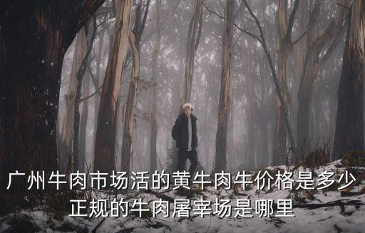 廣州牛肉市場活的黃牛肉牛價(jià)格是多少正規(guī)的牛肉屠宰場是哪里