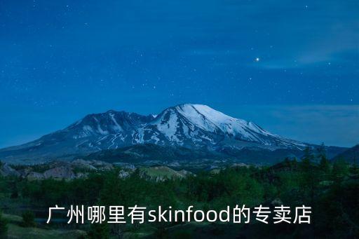 廣州哪里有skinfood的專賣店