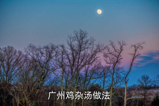 廣州雞雜湯做法