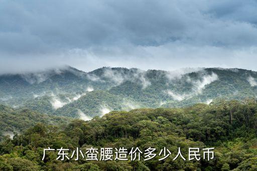 廣東小蠻腰造價多少人民幣
