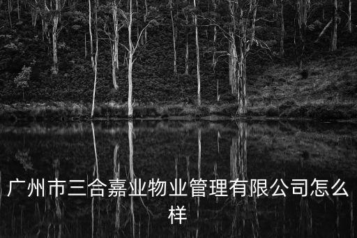 廣州市三合嘉業(yè)物業(yè)管理有限公司怎么樣