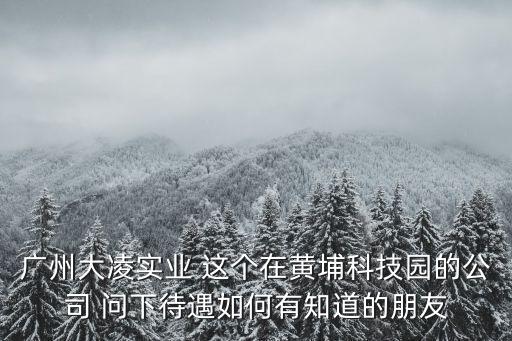 廣州大凌實業(yè) 這個在黃埔科技園的公司 問下待遇如何有知道的朋友