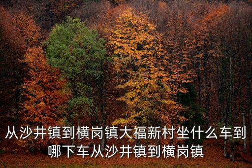 廣州橫崗大福新村，橫崗捷美特電子廠具體在哪里