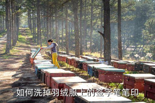如何洗掉羽絨服上的簽字筆筆印