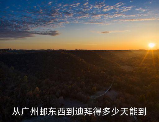 從廣州郵東西到迪拜得多少天能到
