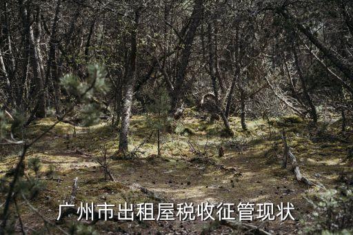 廣州市出租屋稅收征管現狀