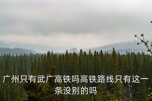 廣州只有武廣高鐵嗎高鐵路線只有這一條沒(méi)別的嗎