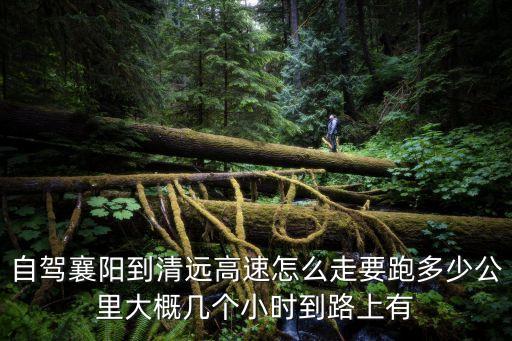 自駕襄陽到清遠高速怎么走要跑多少公里大概幾個小時到路上有