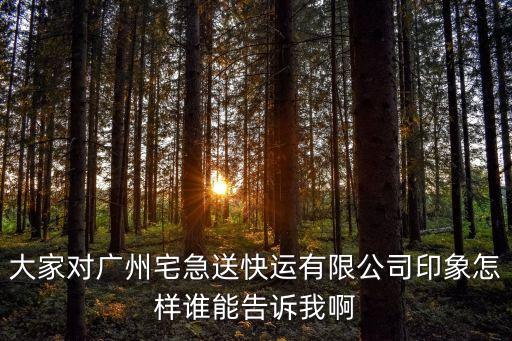 大家對廣州宅急送快運有限公司印象怎樣誰能告訴我啊