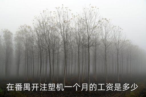 在番禺開注塑機一個月的工資是多少