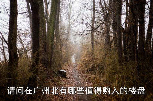 請問在廣州北有哪些值得購入的樓盤