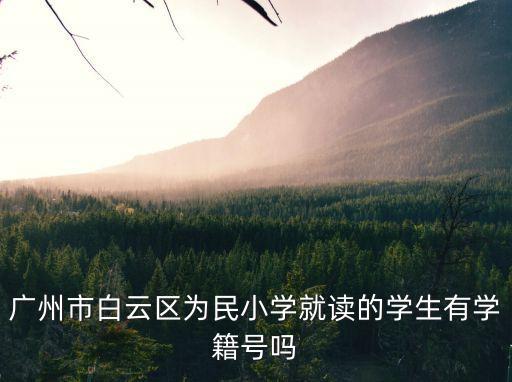 廣州市白云區為民小學就讀的學生有學籍號嗎