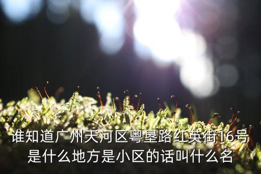 廣州擎宇皓軒樓，誰知道廣州天河區粵墾路紅英街16號是什么地方是小區的話叫什么名