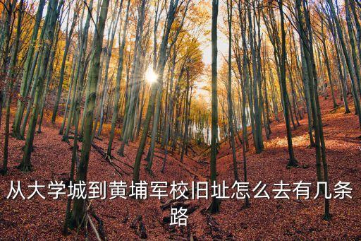 從大學城到黃埔軍校舊址怎么去有幾條路