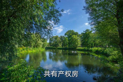 廣州共有產權房黃埔榕悅花園，共有產權房