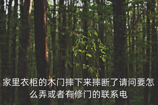 家里衣柜的木門摔下來摔斷了請問要怎么弄或者有修門的聯系電