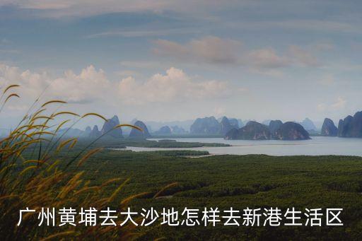廣州黃埔去大沙地怎樣去新港生活區