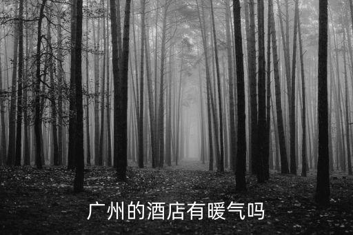 廣州賓館空調(diào)和暖氣，廣州的酒店有暖氣嗎