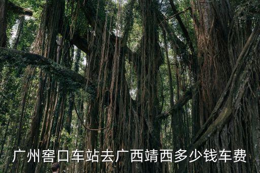 廣州窖口車站去廣西靖西多少錢車費