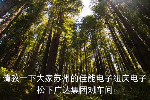 請教一下大家蘇州的佳能電子紐慶電子松下廣達集團對車間