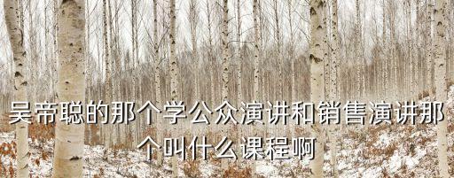 吳帝聰的那個學公眾演講和銷售演講那個叫什么課程啊