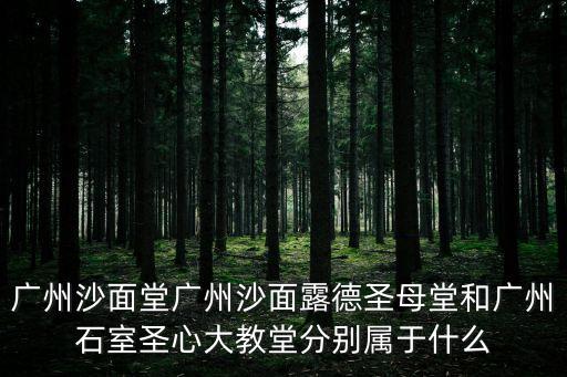 廣州沙面堂廣州沙面露德圣母堂和廣州石室圣心大教堂分別屬于什么