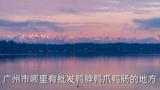 廣州市哪里有批發(fā)鴨脖鴨爪鴨腸的地方