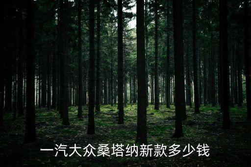 廣州一汽大眾桑塔納多少錢，大眾桑塔納最低多少錢 14L報價 價格給力