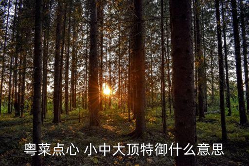 粵菜點心 小中大頂特御什么意思