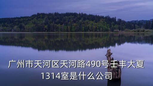 廣州市天河區(qū)天河路490號(hào)壬豐大夏1314室是什么公司