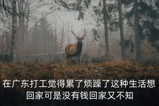 在廣東打工覺得累了煩躁了這種生活想回家可是沒有錢回家又不知