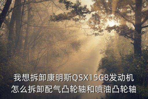 我想拆卸康明斯QSX15G8發(fā)動機(jī)怎么拆卸配氣凸輪軸和噴油凸輪軸