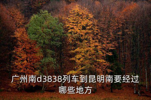 廣州南d3838列車到昆明南要經過哪些地方