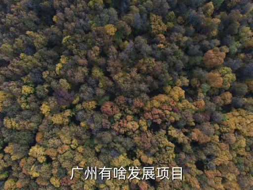 廣州紫泉翠荔嘉園未來規(guī)劃，廣州市花都區(qū)9號地鐵線的建設附近的村莊要不要搬遷