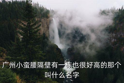 廣州小蠻腰隔壁有一棟也很好高的那個叫什么名字