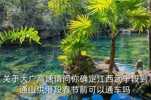 關(guān)于大廣高速請問你確定江西武寧段到通山洪港段春節(jié)前可以通車嗎